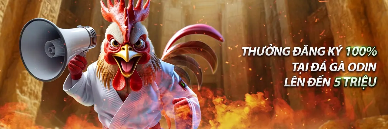 Gà chọi đang thi đấu trên sàn đấu trực tuyến tại Gacam67